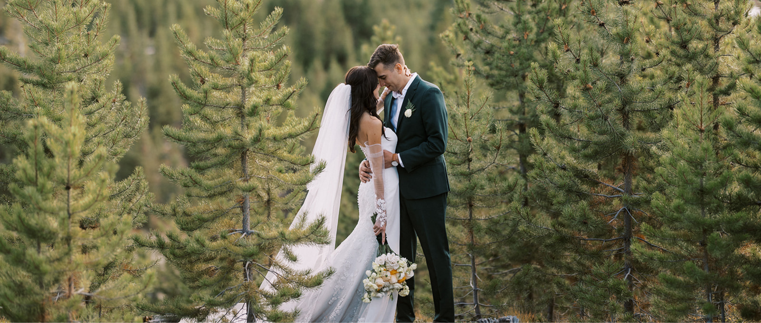 Visit Nicholas and Ashley in PRONOVIAS details page
